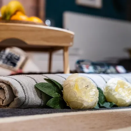 Bohemian Elly בית אירוח וארנה