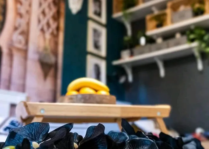 Bohemian Elly Варна