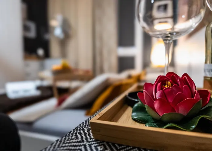 Bohemian Elly * Варна