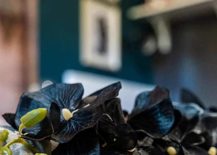 Bohemian Elly Homestay *