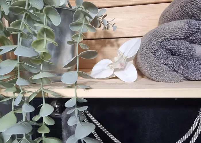 Проживання в сім'ї Bohemian Elly