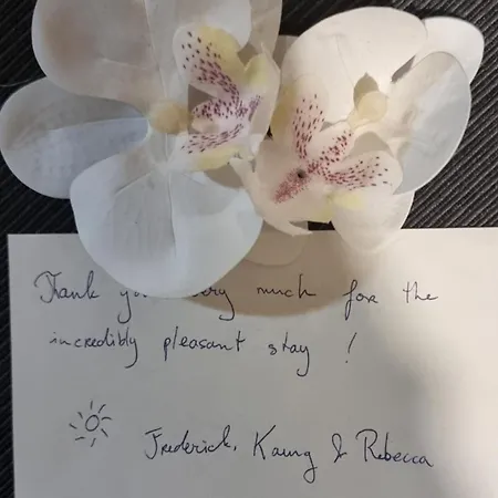 Homestay szállás Bohemian Elly Várna