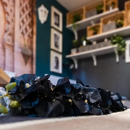 Bohemian Elly Homestay szállás Várna