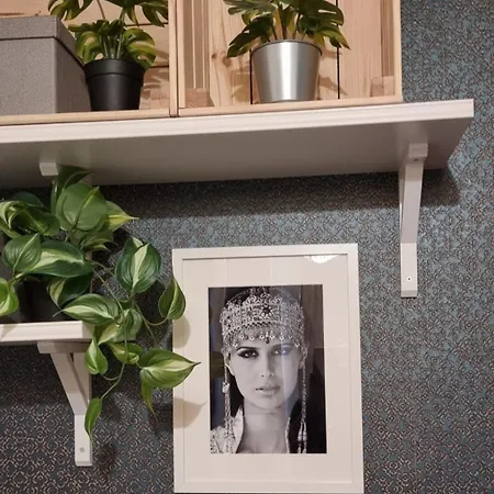 Homestay szállás Bohemian Elly Várna