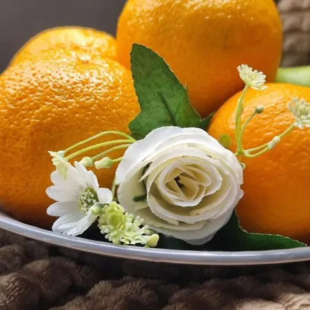 Homestay szállás Bohemian Elly *