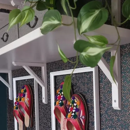 Bohemian Elly Homestay szállás *