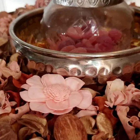 Bohemian Elly Homestay szállás Várna