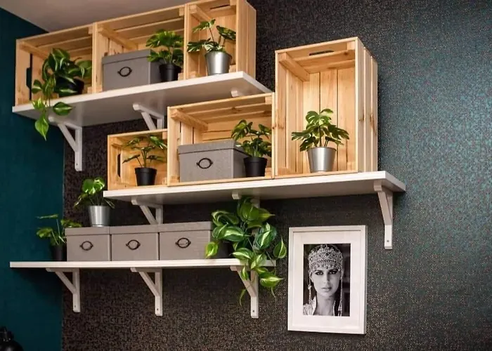 Accommodatie bij particulieren Bohemian Elly