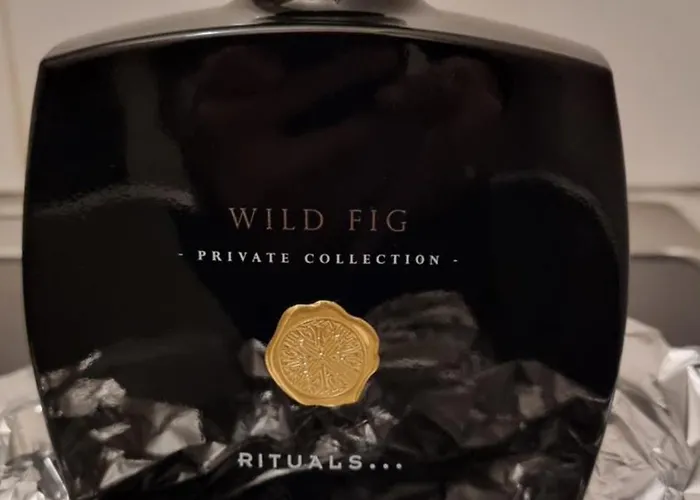 Bohemian Elly Проживание в семье *