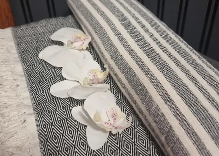 Проживание в семье Bohemian Elly