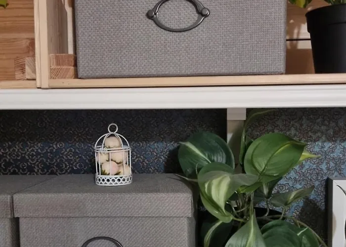 Bohemian Elly Проживание в семье *