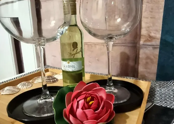 Проживание в семье Bohemian Elly *