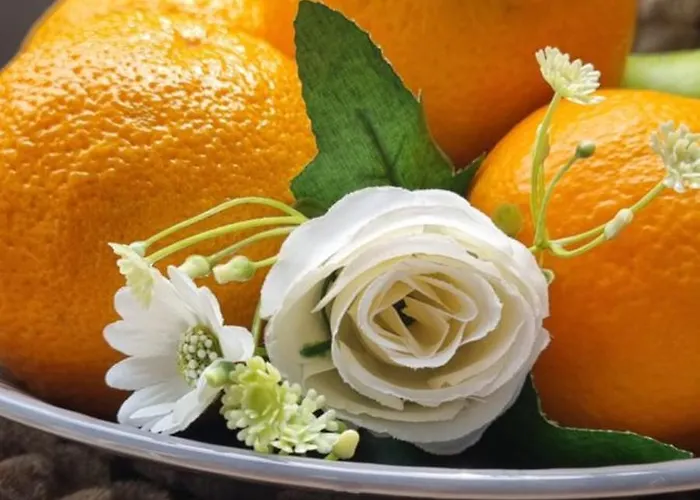 Проживание в семье Bohemian Elly *