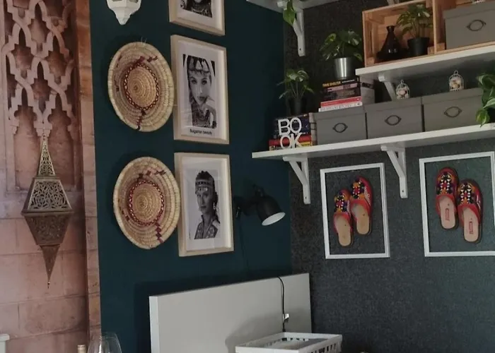 Проживание в семье Bohemian Elly