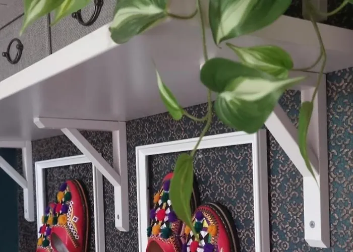 Bohemian Elly Проживание в семье *