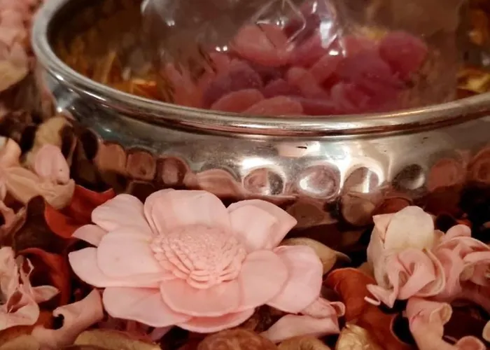 Bohemian Elly Проживание в семье Варна